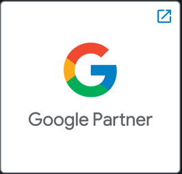 Google Partner badge